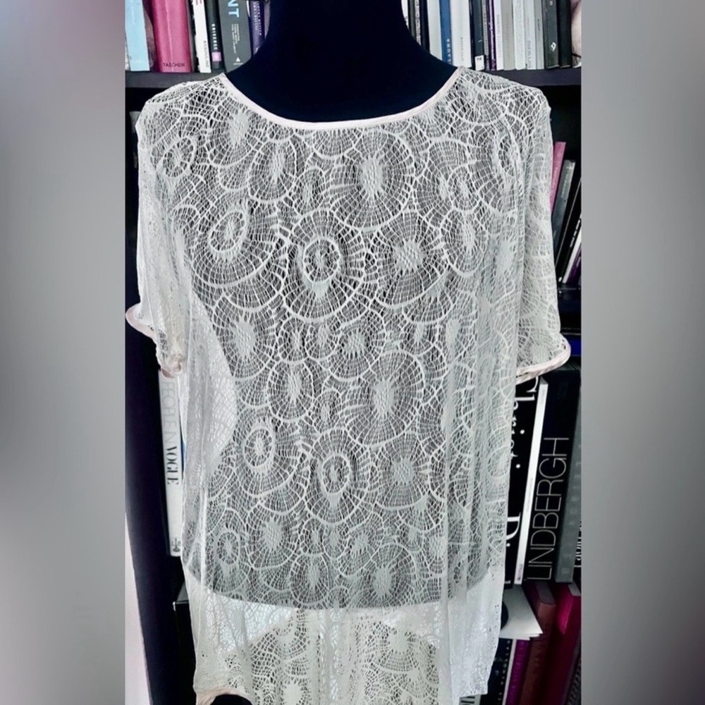 American Apparel sheer cream lace T-shirt top brand new